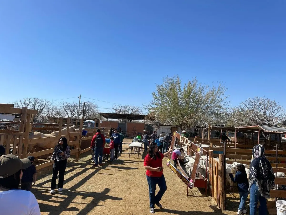 Niñas y niños de ETP en una visita a una granja